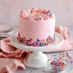 Small Batch Vanilla Cake with Vanilla Buttercream Recipe