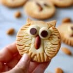 Owl Cookies Recipe