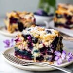 Soft & Fluffy Vegan Blueberry Buckle (No Eggs, No Dairy!) Recipe