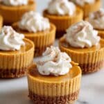 Vegan Mini Pumpkin Pies with Graham Cracker Crust Recipe