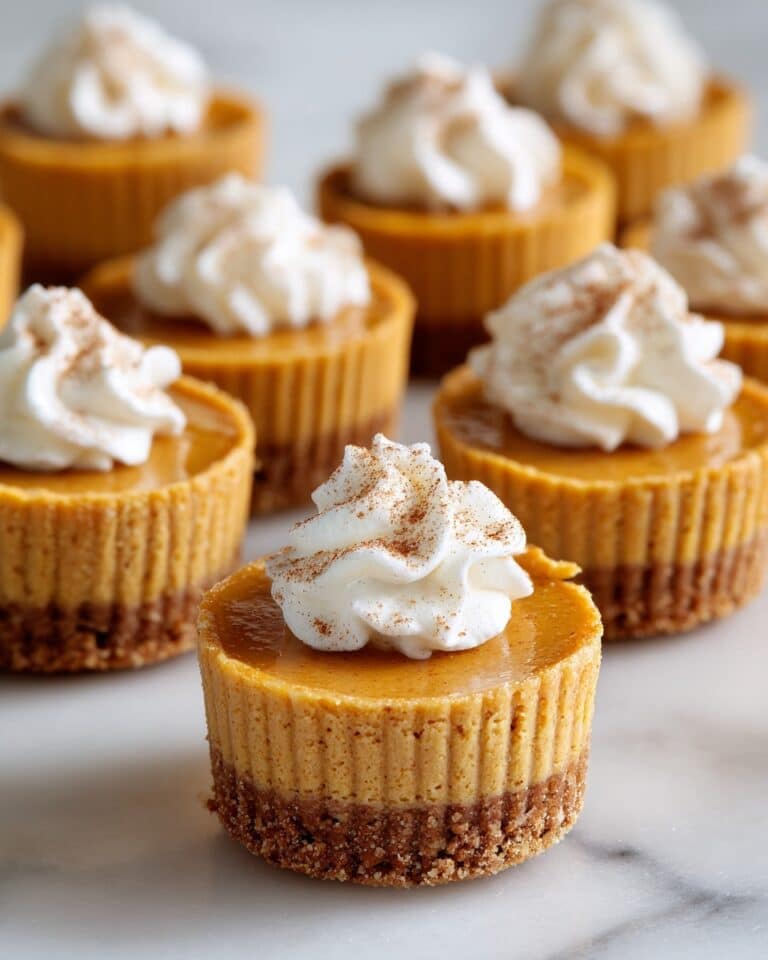 Vegan Mini Pumpkin Pies with Graham Cracker Crust Recipe